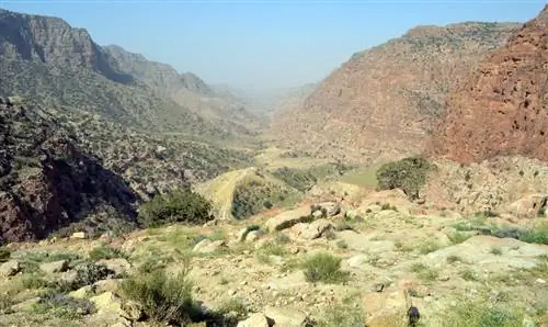 Разнообразие, которое вы найдете в Иордании