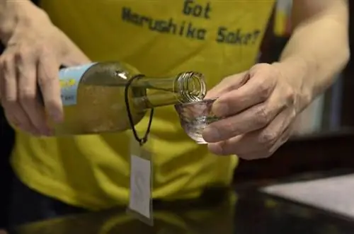 дегустация саке