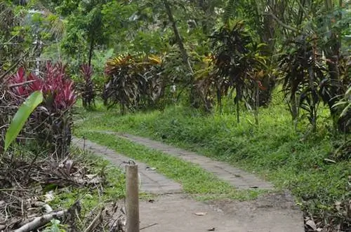 Дорожки в саду специй