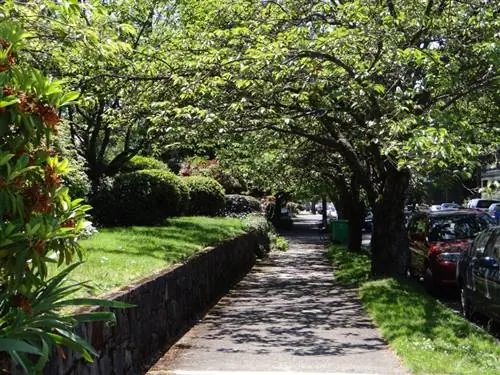 Образ жизни в Портленде