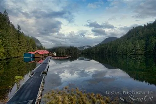 Испытайте плавучие дорожки на курорте Nimmo Bay Wilderness Resort