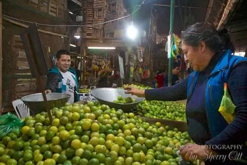 Рынок Пуэнте-Пьедра, Лима
