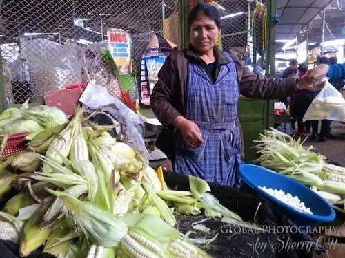 Рынок Пуэнте-Пьедра, Лима