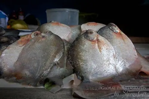 Рынок Пуэнте-Пьедра, Лима