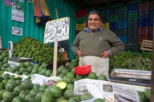 Рынок Пуэнте-Пьедра, Лима