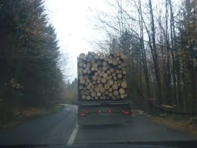 Очарование поездки в Cacia - сельская Румыния в лучшем виде, застрявшая за безжалостной силой бревен.