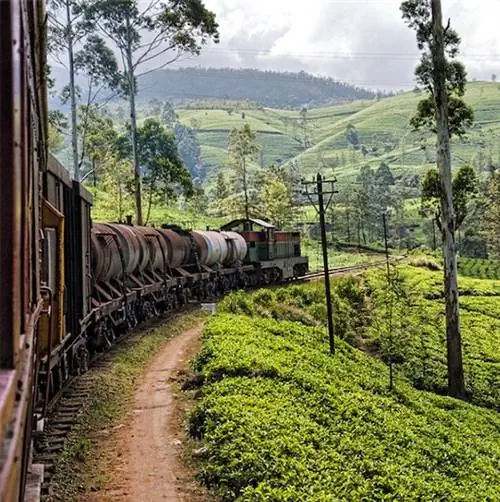 Шри-Ланка поезд