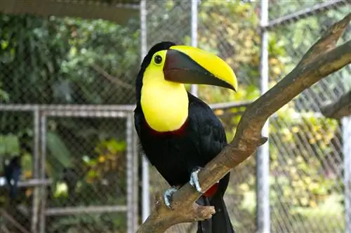 Costa Rica Inn & Resort Stays в Сан-Хосе & Тамариндо