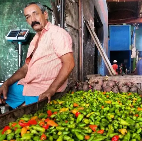 The Oh So Fun Art & Культура Картахены Колумбии