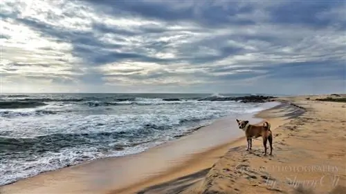 Вилла Коттукал