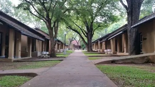 Деревня Корицы Чая