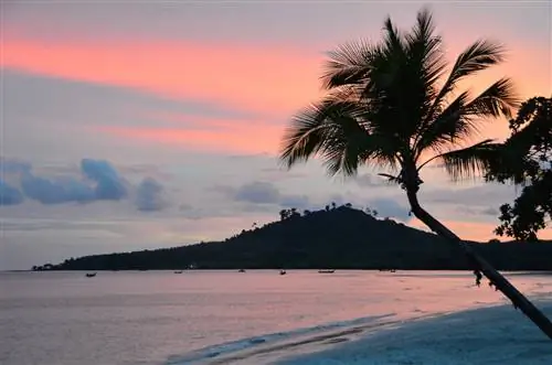 Интересные факты о тайском острове Самуи