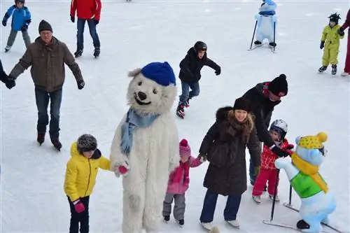 Чем заняться зимой в Мюнхене