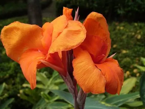 P1380148