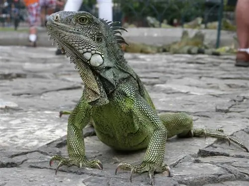 P1380010