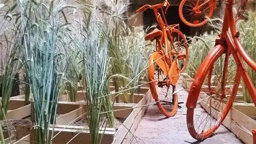 Цветы как искусство