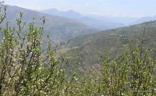 IMG_3069 IMG_3069