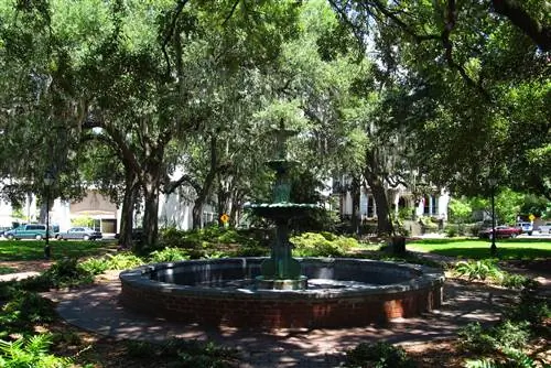 Романтика, скрывающаяся за причудливым & Lovely Savannah