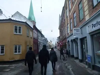 Улицы Хельсингера, Дания