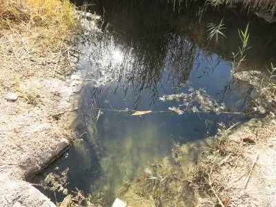 Оазис болот и пустыни в Халате Талх