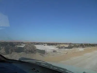 Пальмы на маршруте были уничтожены.