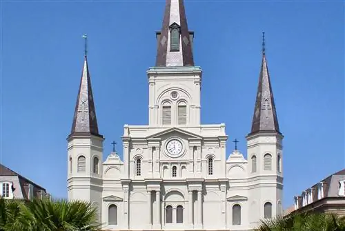 3 забавных путешествия из Нового Орлеана