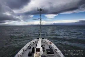 Круиз по острову Врангеля.