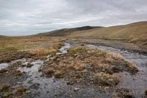 Остров Врангеля.