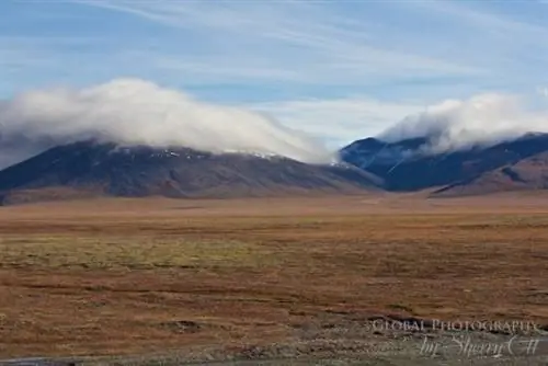 Отключение на острове Врангеля в Северном Ледовитом океане