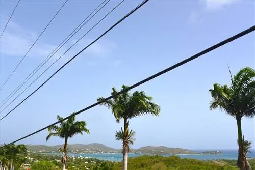 Фотогалерея Антигуа, от городской культуры до пляжных красок & Яркие птицы