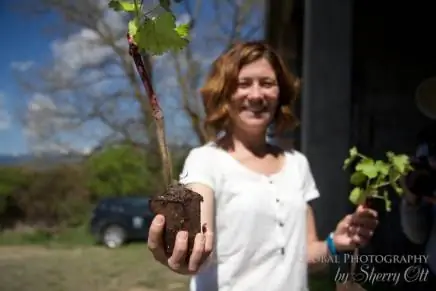 Ледяное вино Пиренеиапертура: 2,8, авторы:, камера: Canon EOS 60D, подпись:, временная метка создания: 1431085136, авторские права:, фокусное_длина: 23, iso: 250, выдержка_затвора: 0,000125, название:, ориентация: 1}