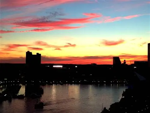 Помимо культуры крабовых пирогов в Балтиморе, от искусства к морю