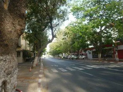 Бульвар Республики, ведущий к Дворцу.