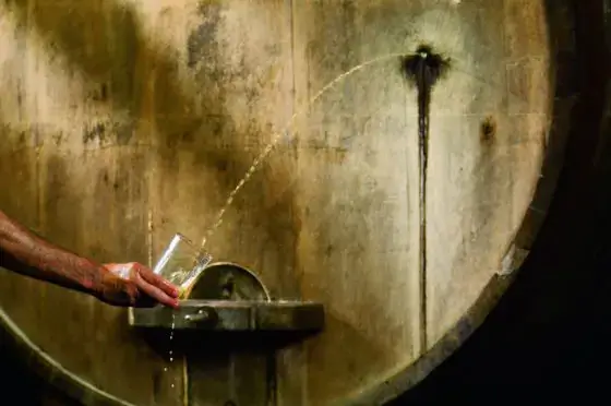 сидр из бочки