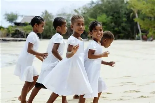 Как Черепаший остров украл мое сердце