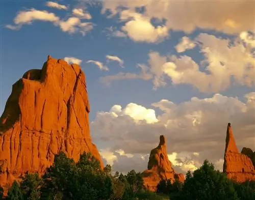 Верховая езда в бассейне Кодахром