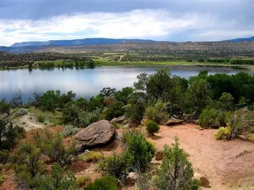 SUP в государственном парке Эскаланте Петрифайд Форест