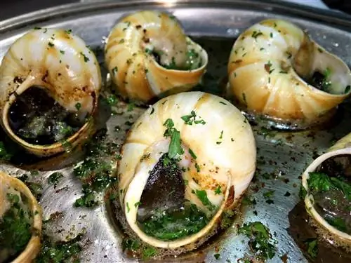 2 лучших французских ресторана в Сан-Франциско