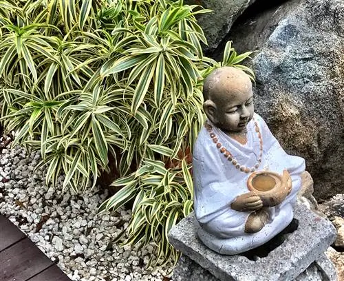 Спа-дель-Соль, карибско-балийский спа-оазис на Арубе