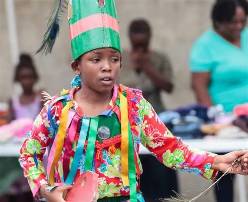 Путеводитель по культуре Невиса для миллениалов