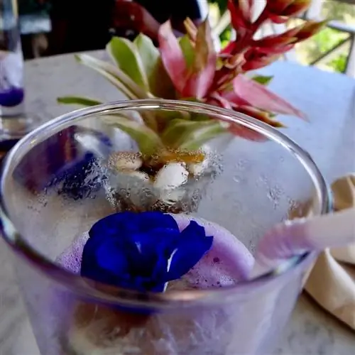 лучшие рестораны Невиса