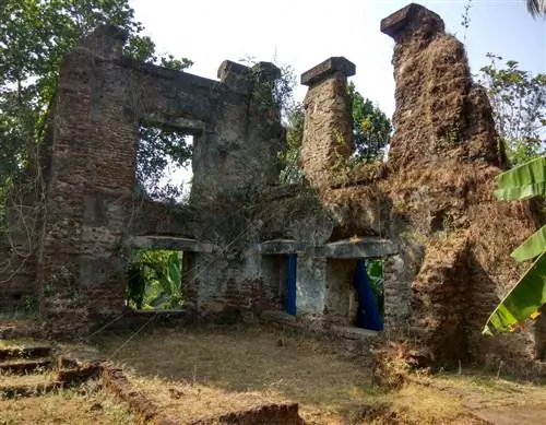 Диафрагма изображения: 2, кредит: Picasa, камера: Redmi Note3, подпись:, created_timestamp: 1484492717, авторские права:, focus_length: 3,57, iso: 100, Shutter_speed: 0,0036231884057971, title:, ориентация: 0}