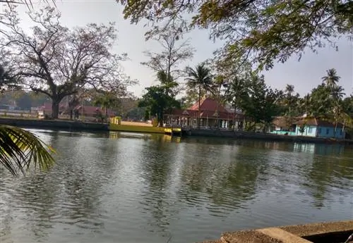 Диафрагма изображения: 2, кредит: Picasa, камера: Redmi Note3, заголовок:, created_timestamp: 1484496747, авторские права:, focus_length: 3,57, iso: 100, Shutter_speed: 0,00087260034904014, title:, ориентация: 0}