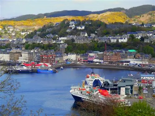 Отправляйтесь в Шотландию за джином этим летом