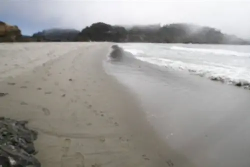 Северная Калифорния: познакомьтесь с очаровательным Мендосино & Побережье Форт-Брэгга