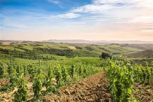 Где остановиться в Тоскане