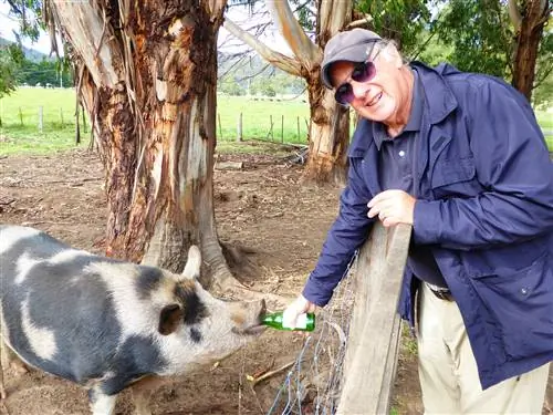 P1000599_Priscilla II пьет пиво: 3,5, авторы:, камера: DMC-TZ70, подпись:, временная метка создания: 1459255147, авторские права:, фокусное_длина: 5,4, iso: 80, выдержка_затвора: 0,0125, название:, ориентация: 1}'