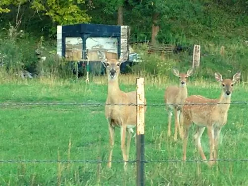 Летнее путешествие по Среднему Западу: 2,4, авторы:, камера: iPhone 5c, подпись:, created_timestamp: 1474050645, авторские права:, focus_length: 4,12, iso: 50, затвор_выдержка: 0,033333333333333, title:, ориентация: 1}'