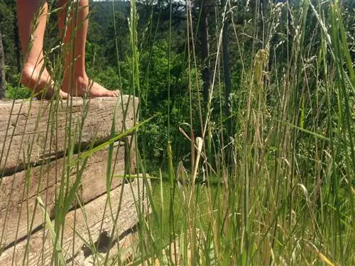 Летнее путешествие по Среднему Западу, босиком: 2,4, фото:, камера: iPhone 5c, подпись:, created_timestamp: 1497196091, авторское право:, focus_length: 4,12, iso: 50, Shutter_speed: 0,00068212824010914, title:, ориентация: 1}'