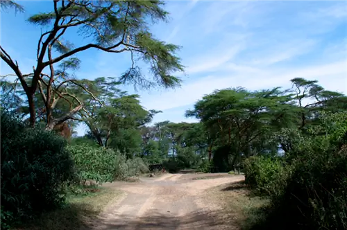 лагерь Карнелли